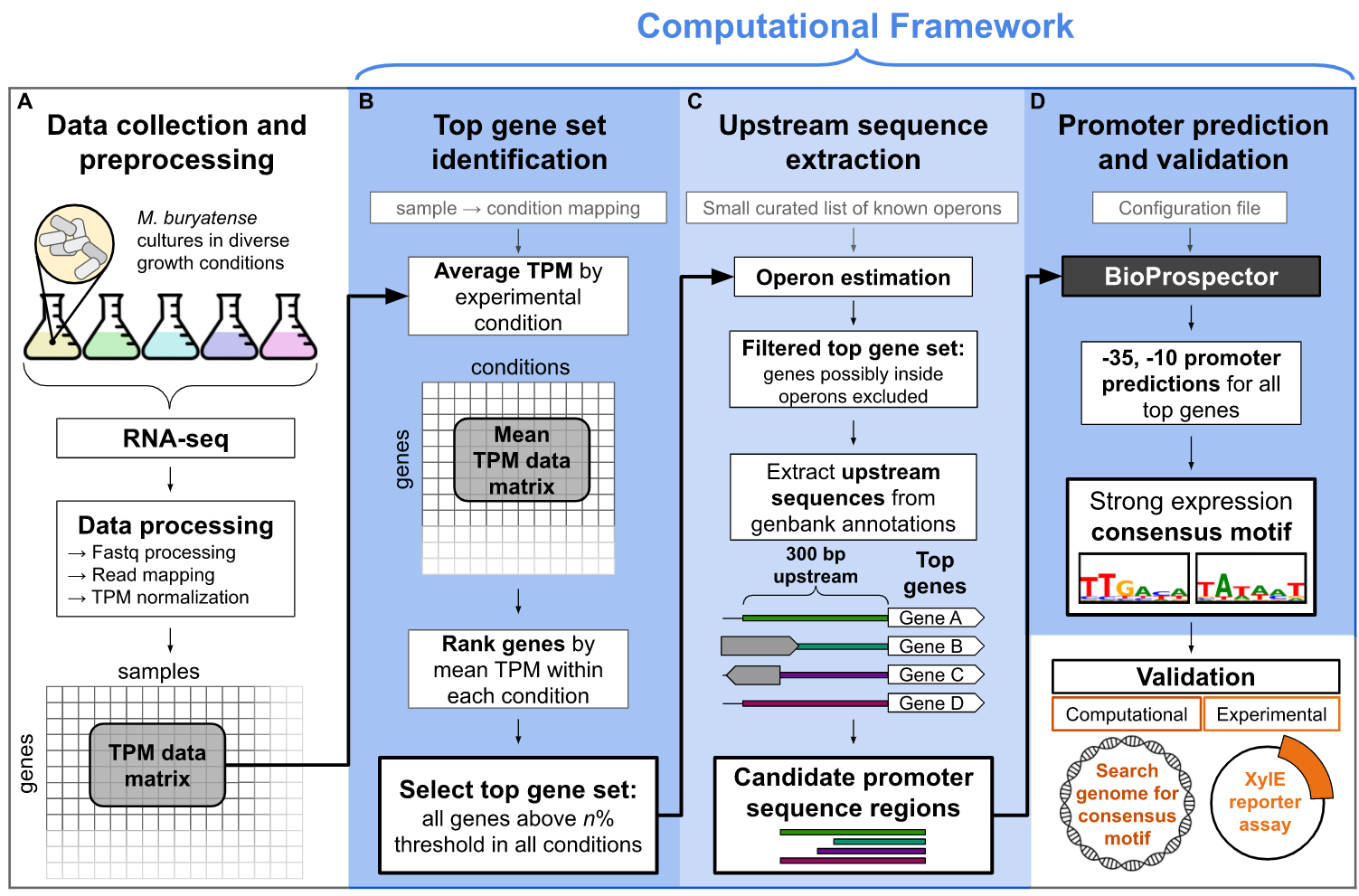 Computational Framework